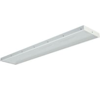 Светильник TECHNOLUX TL12 TG IP54 6800 лм, 4000 K, 68 Вт, IP54 23884