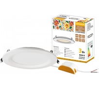 Ультратонкий встраиваемый светодиодный светильник TDM ELECTRIC Даунлайт НАРОДНЫЙ СВО п белый 3Вт 4000К SQ0329-0523