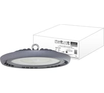 Светильник TDM ELECTRIC ДСП-03-100 UFO ECO 100 Вт, 10 000 лм, 6500 К, 220-240 В, IP65, Народный SQ0352-0600