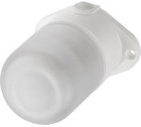 Настенно-потолочный светильник TDM ELECTRIC НПБ400П белый, IP54, 60 Вт, основание-поликарбонат, Народный SQ0303-1501