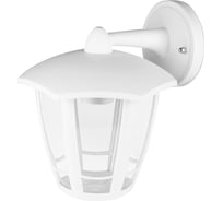 Светильник уличный TDM ELECTRIC "СИТИ" шестигранник настенный вниз белый SQ0330-1317