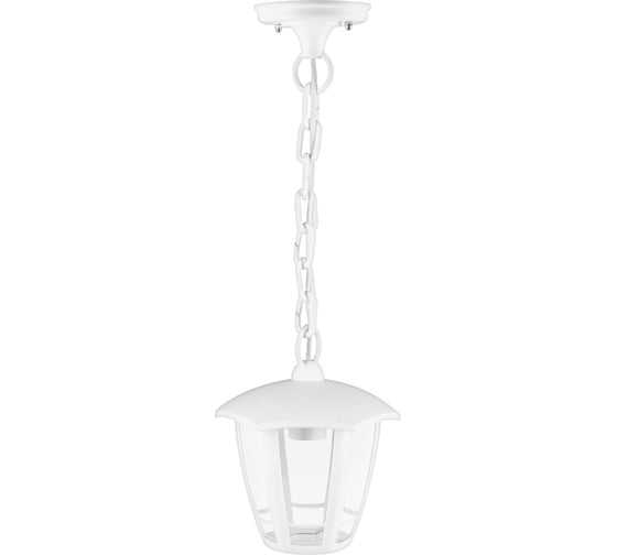 Светильник уличный TDM ELECTRIC "СИТИ" шестигранник подвесной белый SQ0330-1318