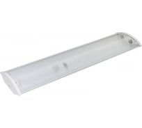 Светильник TDM ELECTRIC СПО 60х2 под LED лампу T8 (рассеиватель поликарбонат) SQ0327-0705