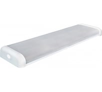 Светильник TDM ELECTRIC СПО 60х2 под LED лампу T8 SQ0327-0702