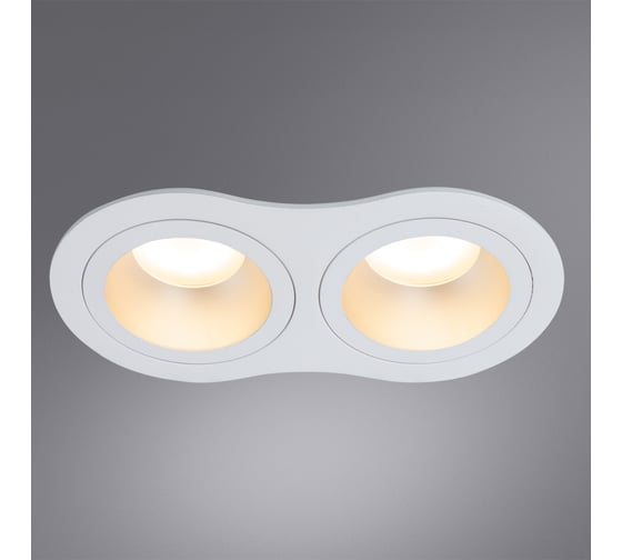 Потолочный светильник ARTE LAMP A2161PL-2WH