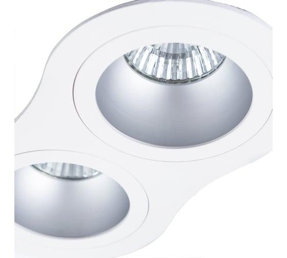 Потолочный светильник ARTE LAMP A2161PL-2WH