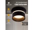 Потолочный светильник ARTE LAMP A2164PL-1BK 9