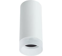 Потолочный светильник ARTE LAMP A5556PL-1WH