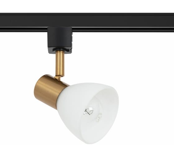 Потолочный светильник ARTE LAMP A3117PL-1BK