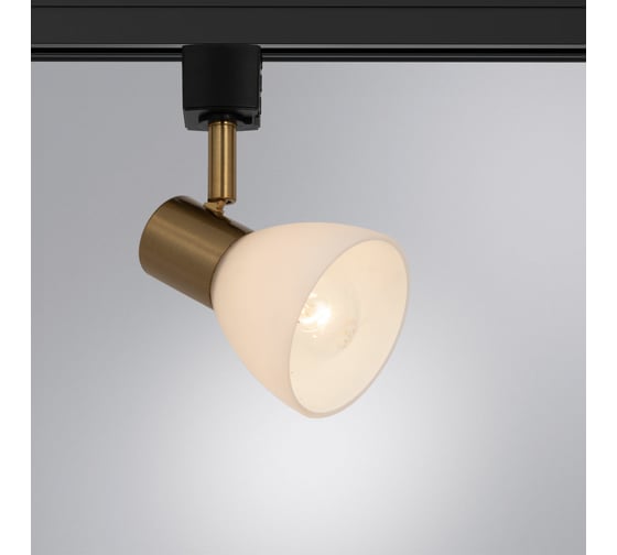Потолочный светильник ARTE LAMP A3117PL-1BK