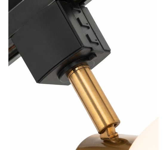 Потолочный светильник ARTE LAMP A3117PL-1BK
