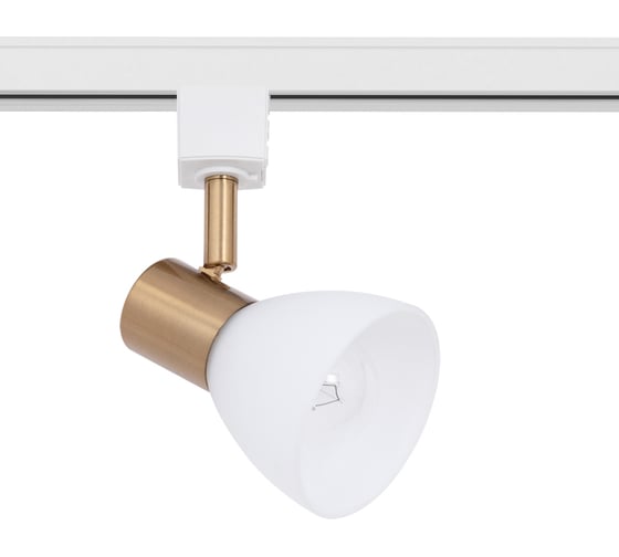 Потолочный светильник ARTE LAMP A3117PL-1WH