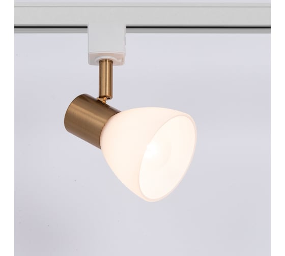 Потолочный светильник ARTE LAMP A3117PL-1WH