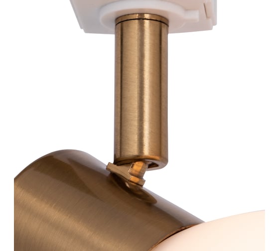 Потолочный светильник ARTE LAMP A3117PL-1WH