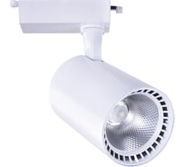 Потолочный светильник ARTE LAMP A2664PL-1WH