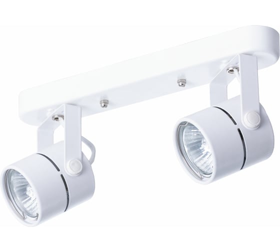 Потолочный светильник ARTE LAMP A1311PL-2WH
