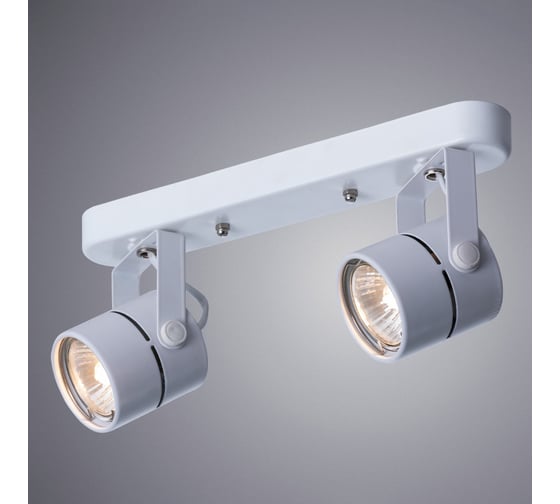 Потолочный светильник ARTE LAMP A1311PL-2WH