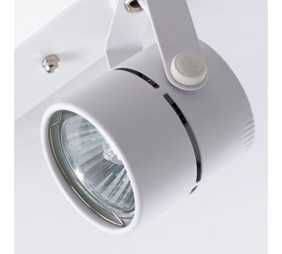 Потолочный светильник ARTE LAMP A1311PL-2WH