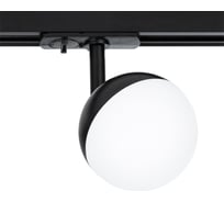 Потолочный светильник ARTE LAMP A4565PL-1BK