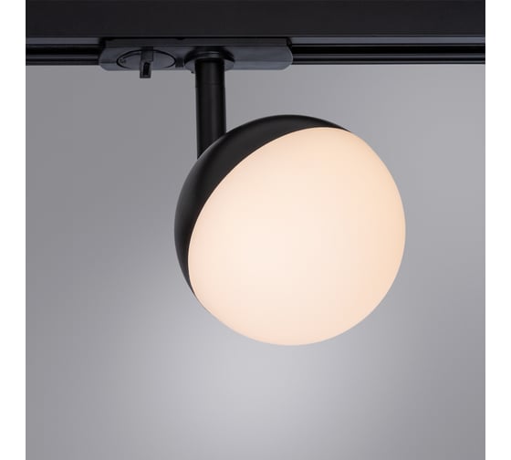 Потолочный светильник ARTE LAMP A4565PL-1BK
