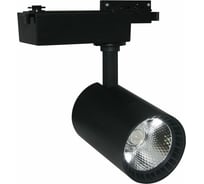 Потолочный светильник ARTE LAMP A2664PL-1BK