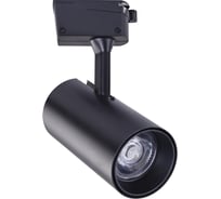 Потолочный светильник ARTE LAMP A2665PL-1BK