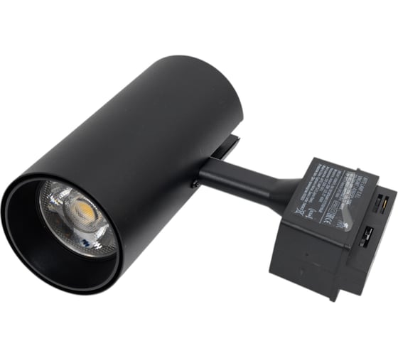 Потолочный светильник ARTE LAMP A2665PL-1BK