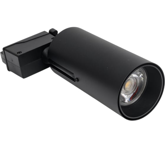 Потолочный светильник ARTE LAMP A2665PL-1BK