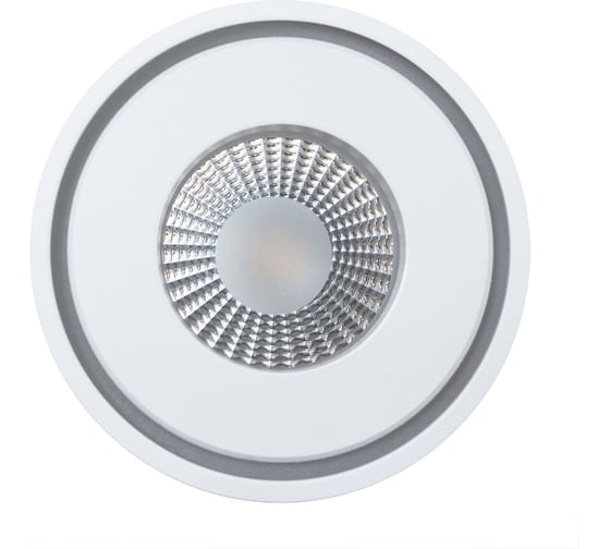 Потолочный светильник ARTE LAMP A7248PL-1WH