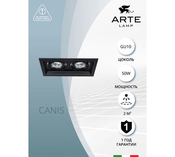 Потолочный светильник ARTE LAMP A6661PL-2BK