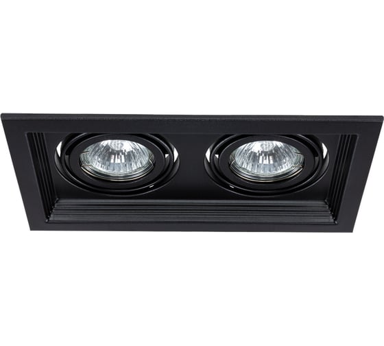 Потолочный светильник ARTE LAMP A6661PL-2BK
