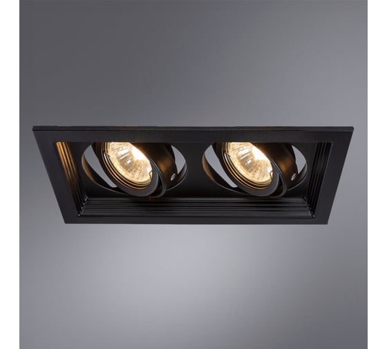 Потолочный светильник ARTE LAMP A6661PL-2BK