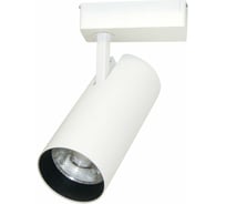 Потолочный светильник ARTE LAMP A2665PL-1WH