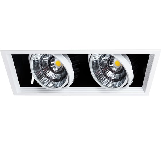 Потолочный светильник ARTE LAMP A8450PL-2WH