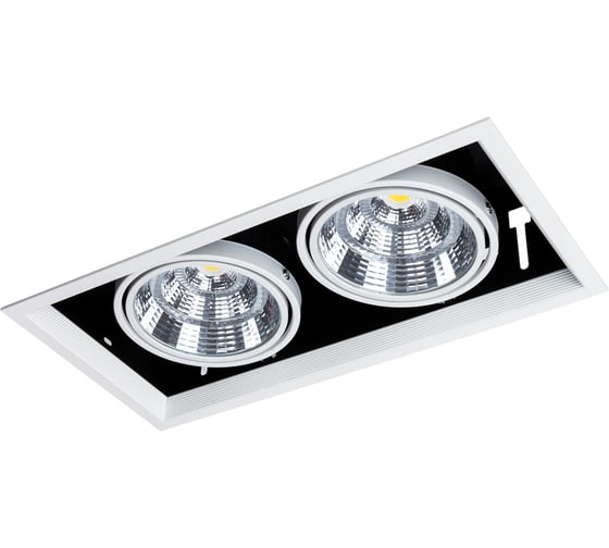 Потолочный светильник ARTE LAMP A8450PL-2WH
