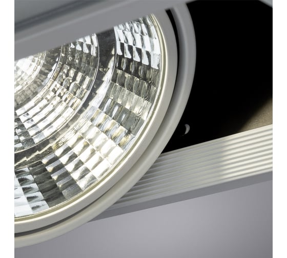 Потолочный светильник ARTE LAMP A8450PL-2WH