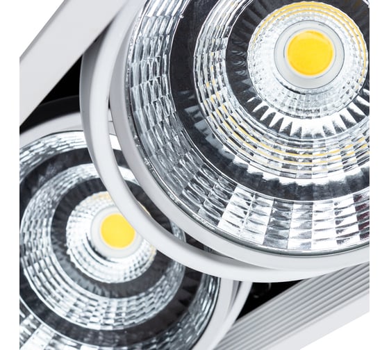 Потолочный светильник ARTE LAMP A8450PL-2WH