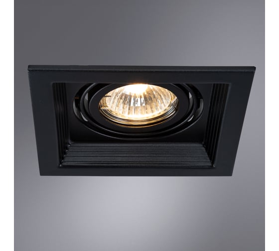 Потолочный светильник ARTE LAMP A6661PL-1BK