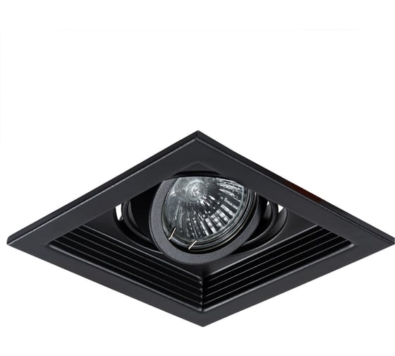 Потолочный светильник ARTE LAMP A6661PL-1BK