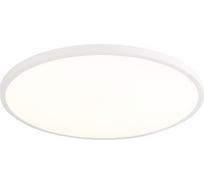 Настенно-потолочный светильник ST luce белый LED 1х48W 4000K 4320Lm ST601.542.48