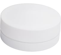 Потолочный светильник ARTE LAMP A6047PL-2WH