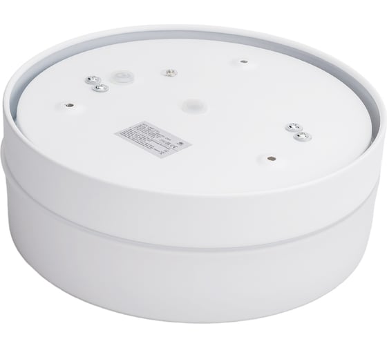 Потолочный светильник ARTE LAMP A6047PL-2WH