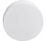 Потолочный светильник ARTE LAMP A6047PL-2WH 6
