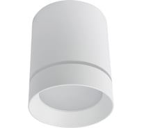Потолочный светильник ARTE LAMP A1949PL-1WH