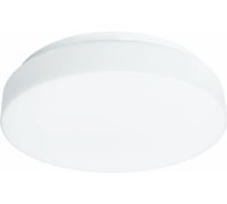 Потолочный светильник ARTE LAMP A6836PL-1WH