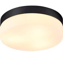 Потолочный светильник ARTE LAMP A6047PL-3BK