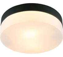 Потолочный светильник ARTE LAMP A6047PL-2BK 20886129