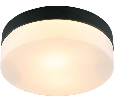 Потолочный светильник ARTE LAMP A6047PL-2BK