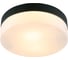 Потолочный светильник ARTE LAMP A6047PL-2BK 1