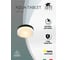 Потолочный светильник ARTE LAMP A6047PL-2BK 2